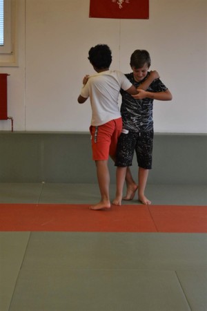 6SF Judo 15.7 (12)5.jpg